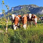 Lampererhof Alloggio per agriturismo Sankt Johann in Tirol