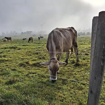 Lampererhof Séjour à la ferme St. Johann in Tirol