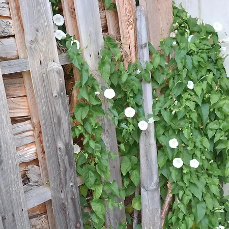 Lampererhof