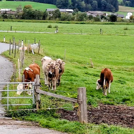 Séjour à la ferme Lampererhof *