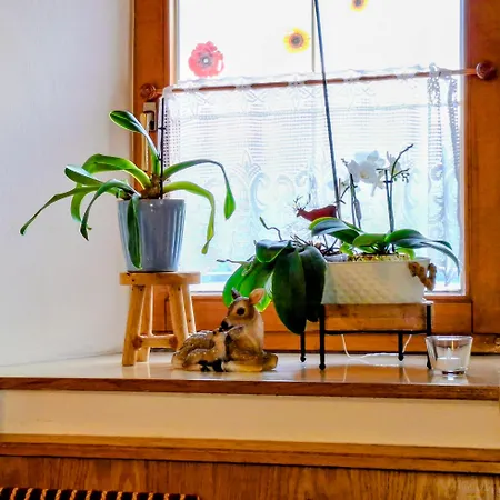 Lampererhof Urlaub Am Bauernhof Çiftlik konaklama