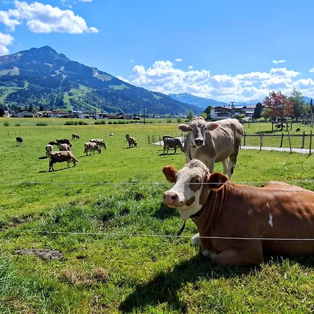 Lampererhof * Sankt Johann in Tirol