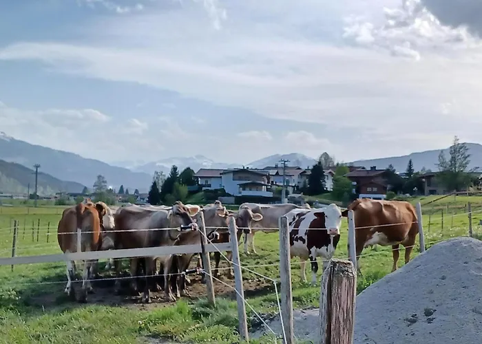 Lampererhof Agroturismo *