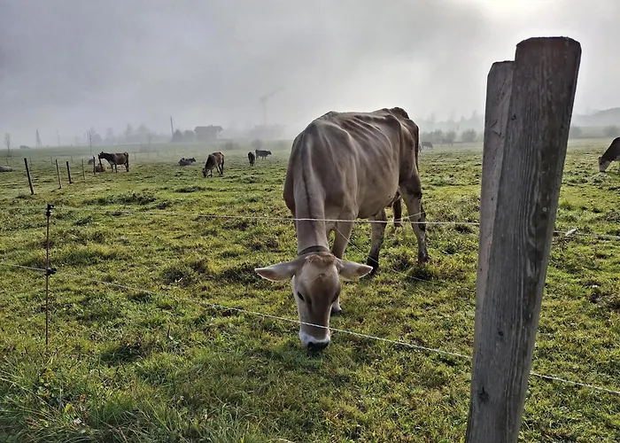 Lampererhof Agroturismo Sankt Johann in Tirol