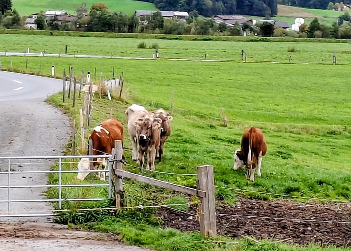 Agroturismo Lampererhof *