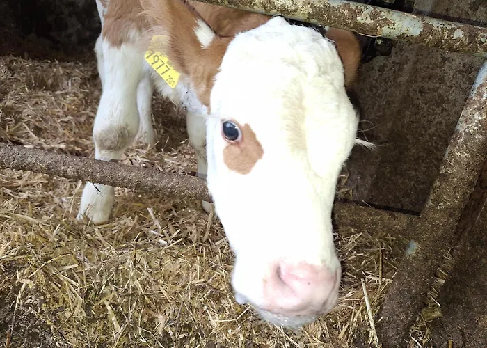 Agroturismo Lampererhof *