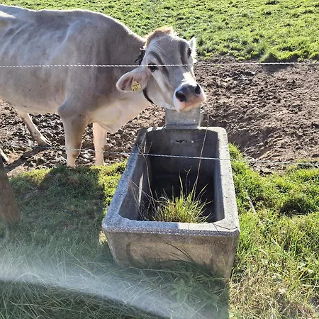 Lampererhof Urlaub Am Bauernhof