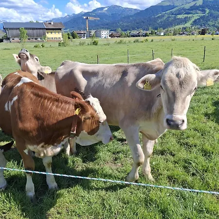 Lampererhof Urlaub Am Bauernhof *