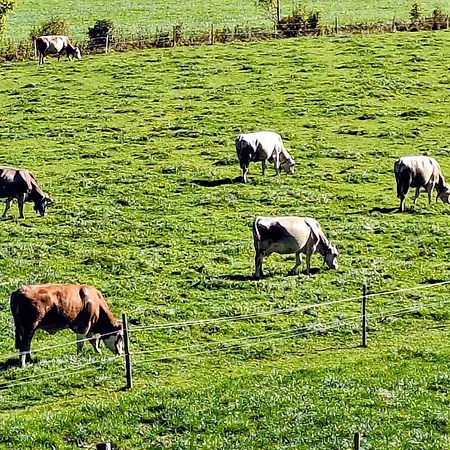 Lampererhof Urlaub Am Bauernhof *