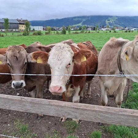 Lampererhof Urlaub Am Bauernhof Vakantieboerderij