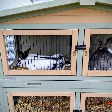 Lampererhof Urlaub Am Bauernhof Vakantieboerderij Sankt Johann in Tirol