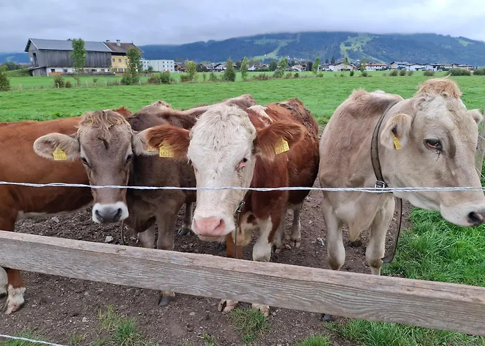 Lampererhof ファームステイ