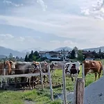 Lampererhof Agroturismo *