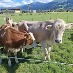 Lampererhof *