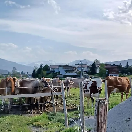 Lampererhof Urlaub Am Bauernhof 팜스테이 *