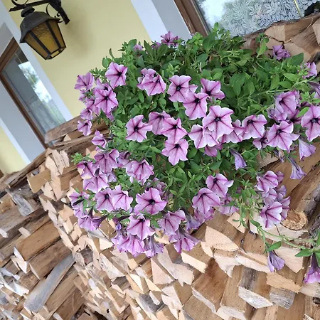 Lampererhof Urlaub Am Bauernhof