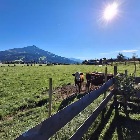 Lampererhof Urlaub Am Bauernhof
