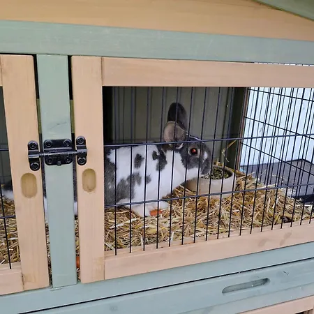 Lampererhof Urlaub Am Bauernhof 팜스테이 *